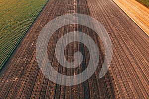 Wheel irrigation agricultural sprinklers in cultivated field, aerial shot from drone pov