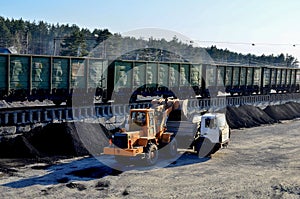 Wheel loader excavator loads coal into a dump truck
