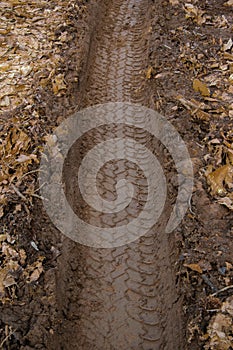 Wheel marks on the muddy ground in the woods