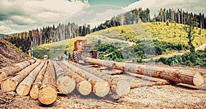 Wheel-mounted loader, timber grab. Forestry tractors, trucks and loggers machinery. Felling of trees, cut trees. Felling