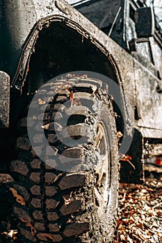 Wheel of offroad car in a muddy roadn forest
