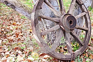 A wheel from an old cart