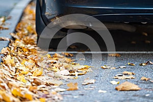 Wheel of a parking car surrounded by fallen leaves, closeup