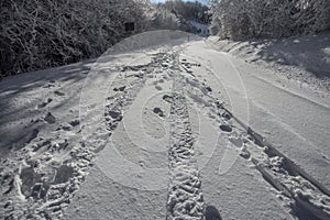 Wheel print in the snow/road/street/snow.