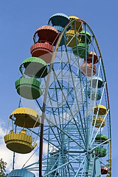 Wheel of review in the park