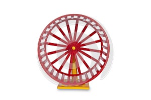 Wheel for rodents