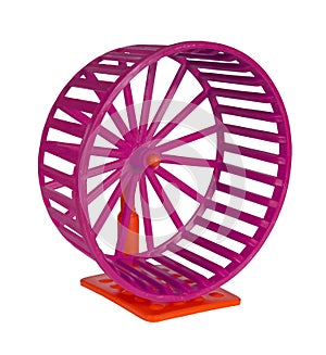 Wheel for rodents