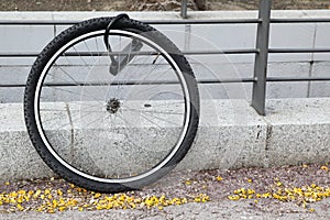 Wheel of stolen bicycle photo