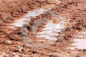 Wheel trace on road, puddle and mud after rain. Traces on soil of tractor, excavator, car, automotive tire tracks on muddy trail.