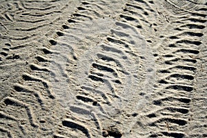 Wheel trace of the tractor in the sand