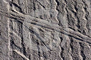 Wheel track on country road in the dust