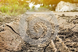 Wheel track on dirt soil texture