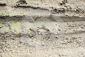 Wheel track on dirt soil texture after rainning