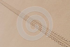 Wheel track on dust dune on a beach