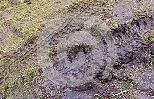 Wheel track on mud. Traces of a tractor or heavy off-road car on brown mud in wet meadow