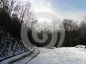 Wheel track on snow covered forest road