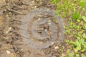 The wheel track of the tractor on dry soil and the grass.
