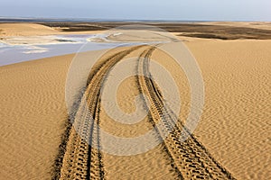 Wheel Tracks in Desert near Walvis Bay, Namibia