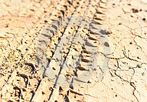 Wheel tracks in the dirt