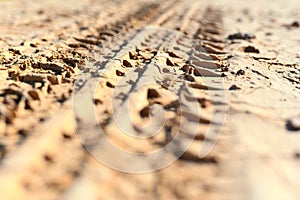 Wheel tracks in the dirt