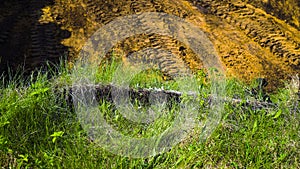 Wheel tracks in freshly dug trench with green grass on foreground