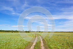 Wheel tracks with green meadow