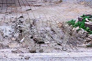 Wheel tracks in mire