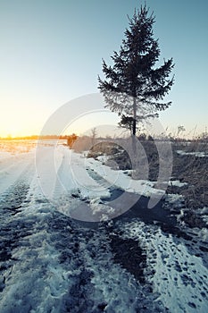 Wheel tracks in mire at winter