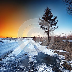 Wheel tracks in mire at winter photo