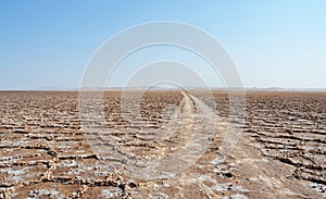 Wheel tracks on salt flat polygons of desert