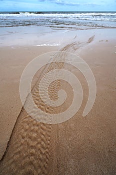 Wheel tracks on the sand at the beach