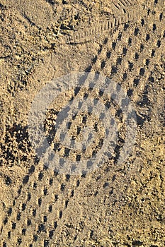 Wheel tracks on sand ground texture