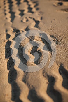 Wheel tracks on the sand