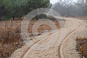Wheel tracks on a sandy road