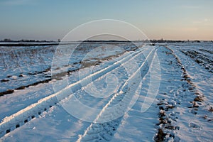 Wheel tracks on a snowy road, horizon and sky