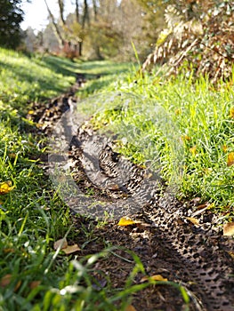 Wheel tracks in a trail