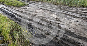 Wheel tracks in wet clay soil