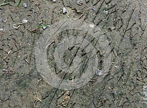 Wheel tracks on wet ground