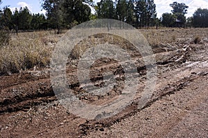 Wheel tracks where a car has been bogged in mud