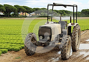 Wheel Tractor stuck in the mud of the cultivated field