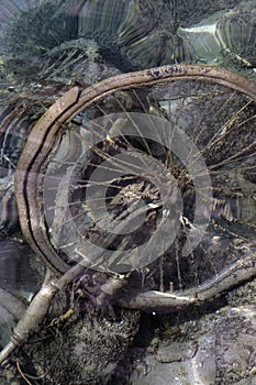 Wheel in the water