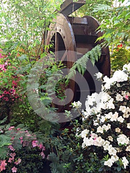 The wheel of a water mill among flowers