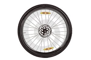 Wheel whish front disc brake for mountain bike.