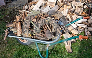 wheelbarrow with Firewood in the garden