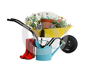 Wheelbarrow with flowers and gardening tools isolated
