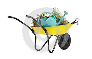 Wheelbarrow with flowers and gardening tools isolated