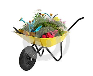 Wheelbarrow with flowers and gardening tools isolated