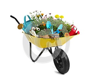 Wheelbarrow with flowers and gardening tools isolated on photo