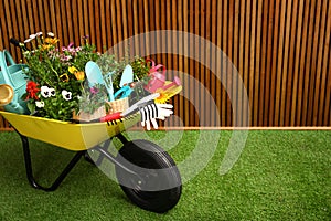 Wheelbarrow with flowers and gardening tools near wooden wall