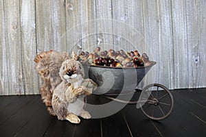 A wheelbarrow full of acorns and a happy squirrel